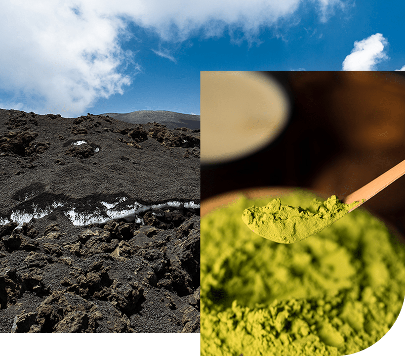 Green Clay