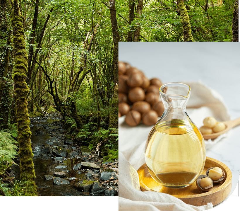 nut oil